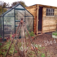 A Wood Burner and a Shed