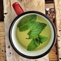Time for (Mint) Tea