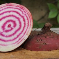 How to make Beetroot & Apple Slaw